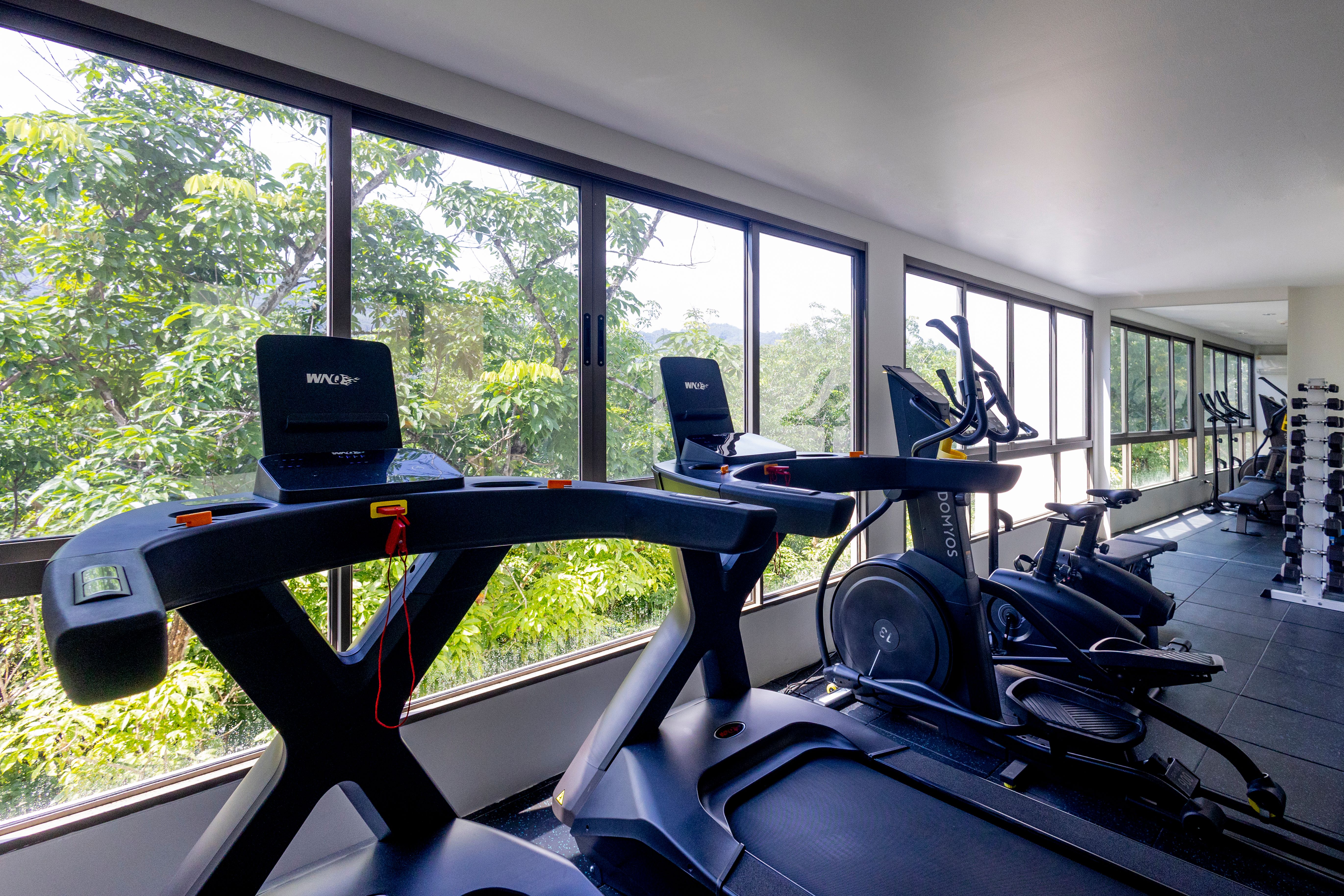 Gym 2