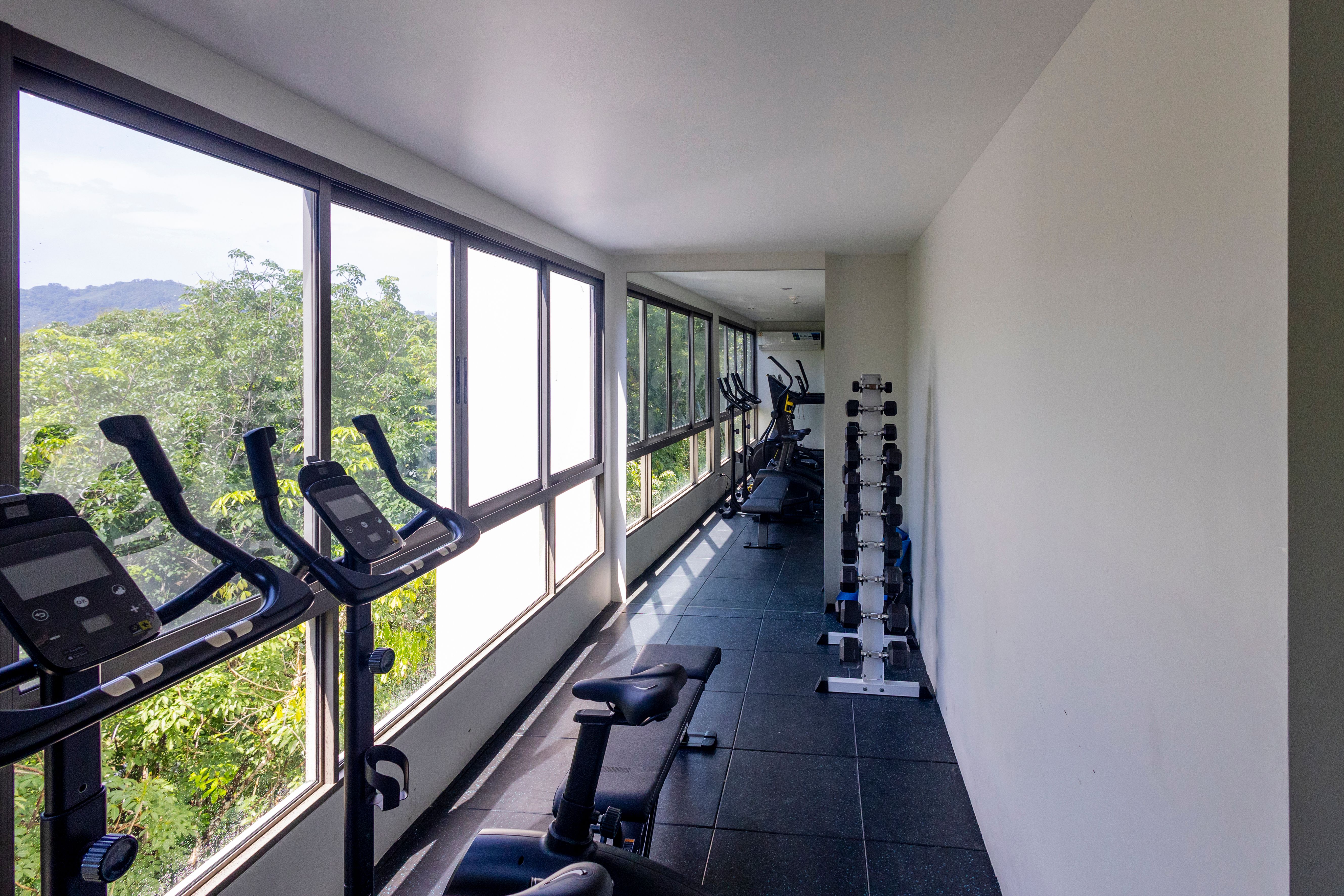 Gym 3